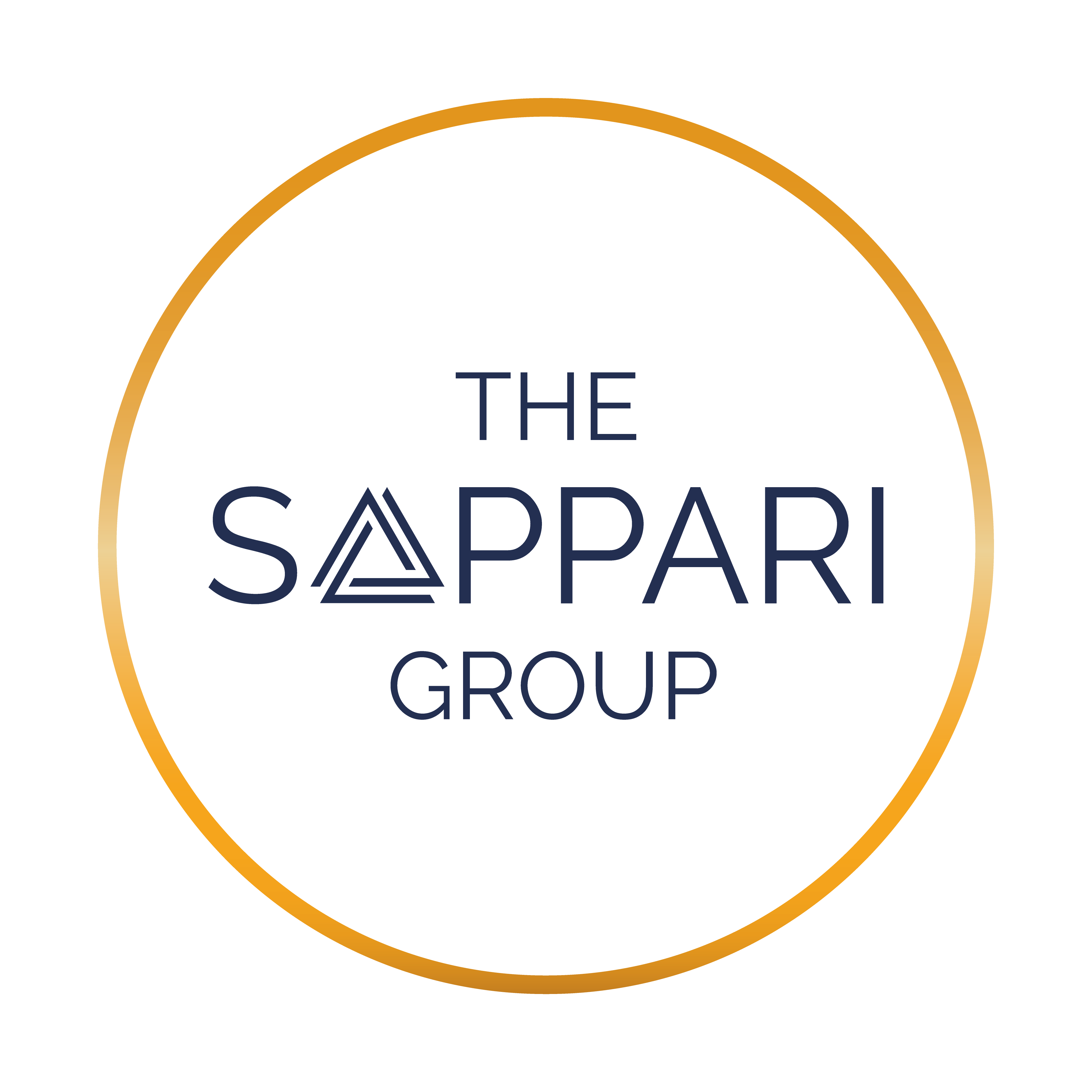 sappari group executive professional coaching