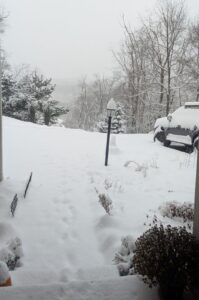 A serene snowy landscape, symbolizing slowing down and honoring natural cycles.