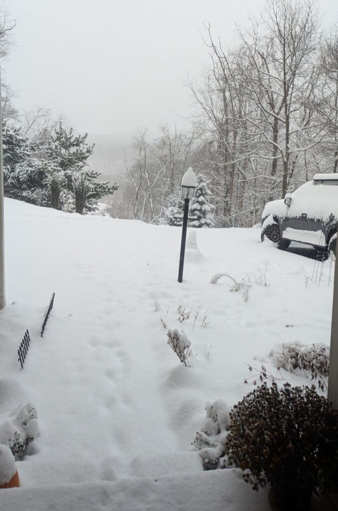 A serene snowy landscape, symbolizing slowing down and honoring natural cycles.